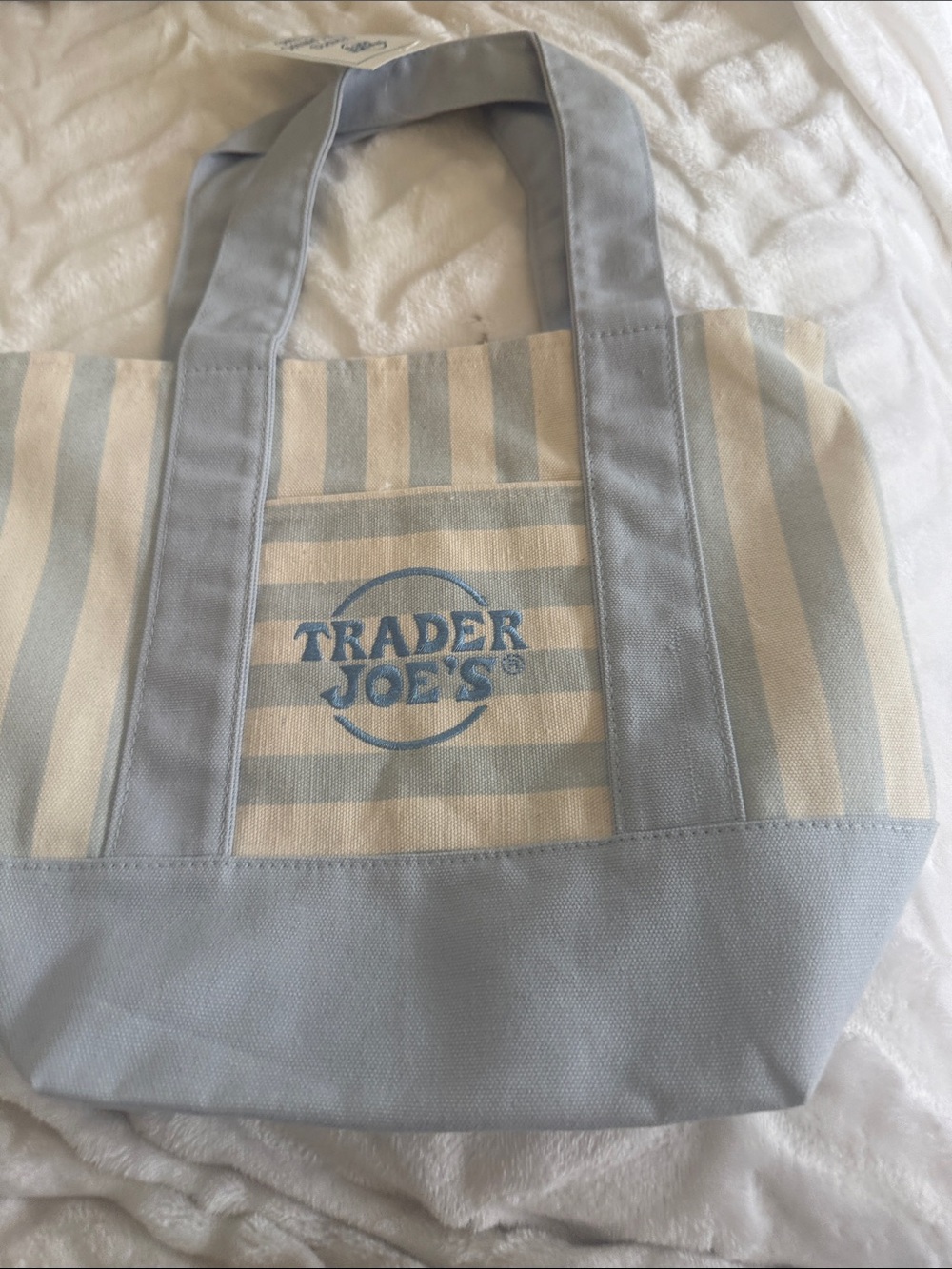 Trader Joe's Light Blue & Cream Striped Canvas Tote Bag